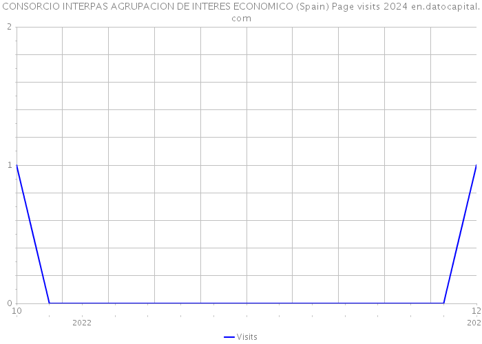 CONSORCIO INTERPAS AGRUPACION DE INTERES ECONOMICO (Spain) Page visits 2024 