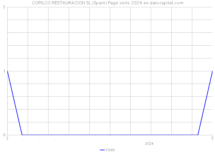 COPILCO RESTAURACION SL (Spain) Page visits 2024 
