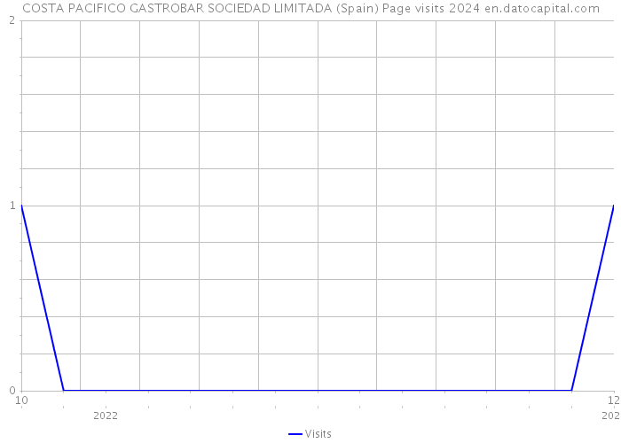 COSTA PACIFICO GASTROBAR SOCIEDAD LIMITADA (Spain) Page visits 2024 