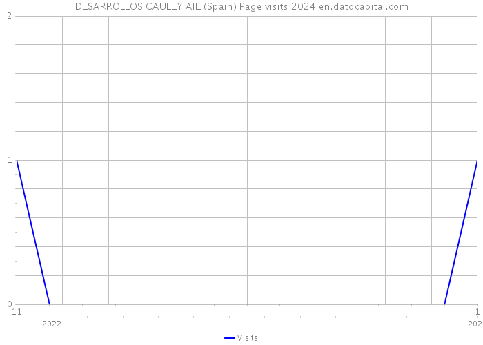DESARROLLOS CAULEY AIE (Spain) Page visits 2024 