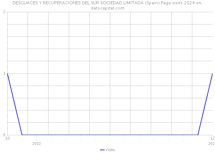 DESGUACES Y RECUPERACIONES DEL SUR SOCIEDAD LIMITADA (Spain) Page visits 2024 