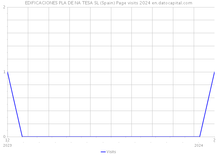 EDIFICACIONES PLA DE NA TESA SL (Spain) Page visits 2024 