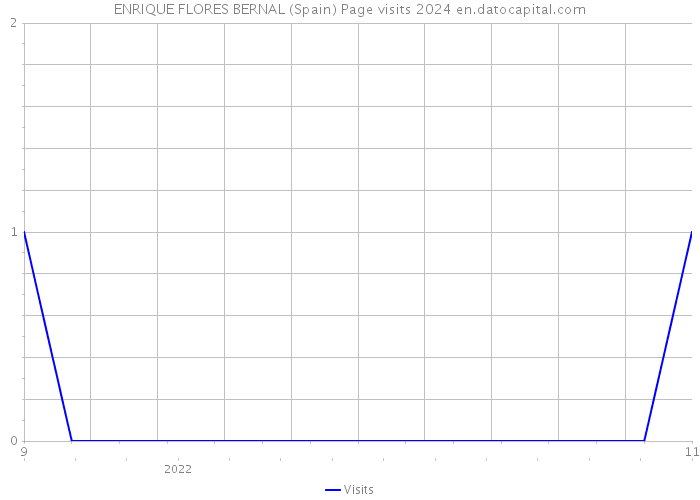 ENRIQUE FLORES BERNAL (Spain) Page visits 2024 