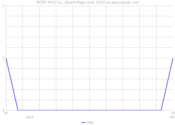 ESTEY PICO S.L. (Spain) Page visits 2024 