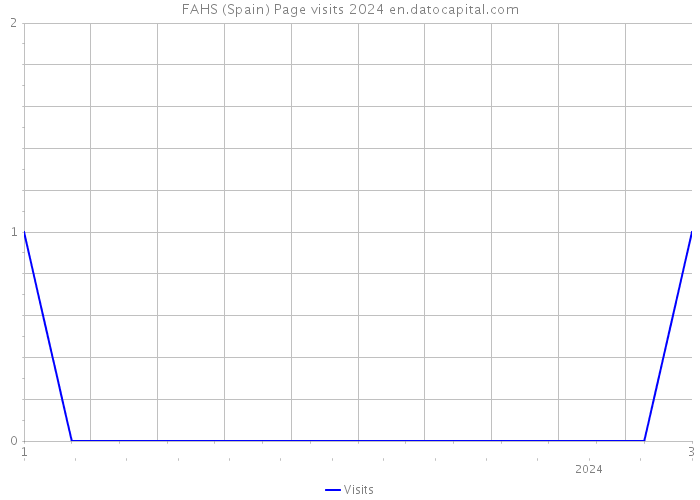 FAHS (Spain) Page visits 2024 