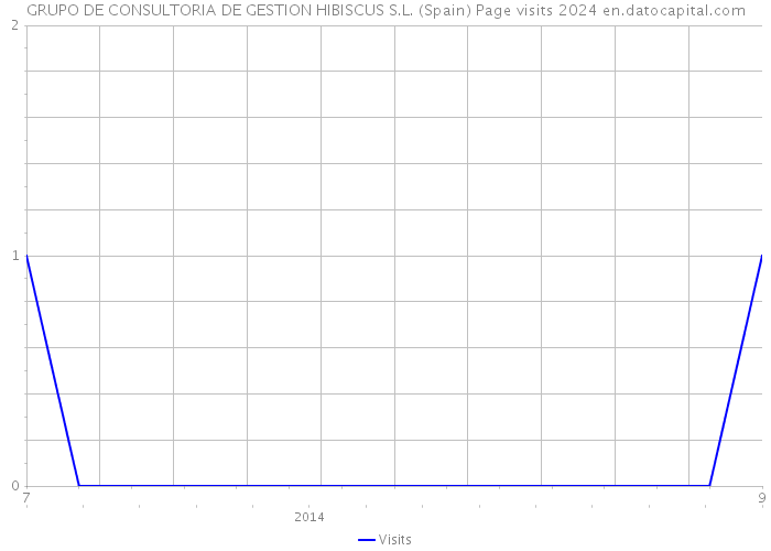 GRUPO DE CONSULTORIA DE GESTION HIBISCUS S.L. (Spain) Page visits 2024 