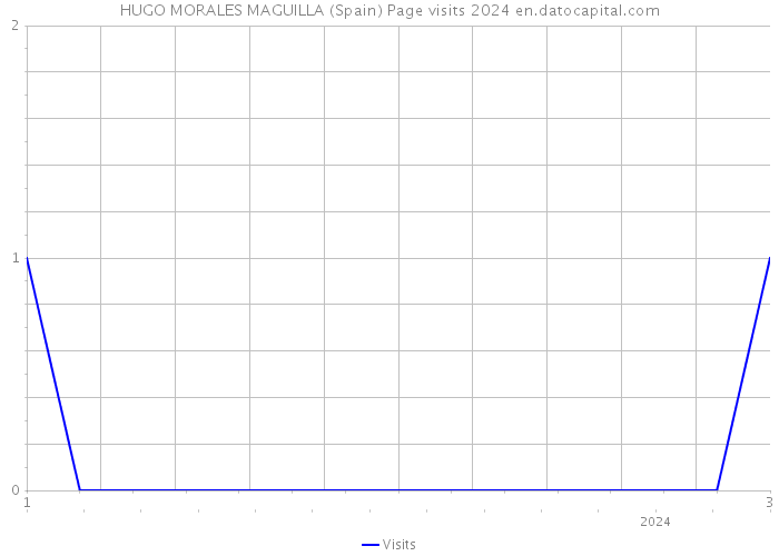 HUGO MORALES MAGUILLA (Spain) Page visits 2024 