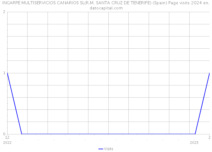 INGARPE MULTISERVICIOS CANARIOS SL(R.M. SANTA CRUZ DE TENERIFE) (Spain) Page visits 2024 