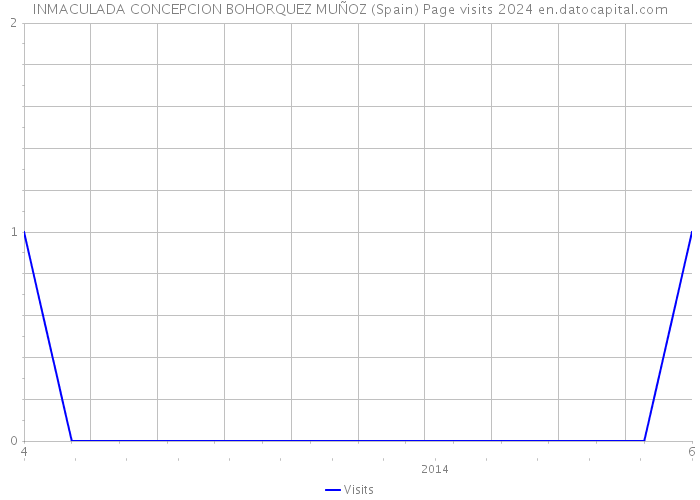 INMACULADA CONCEPCION BOHORQUEZ MUÑOZ (Spain) Page visits 2024 