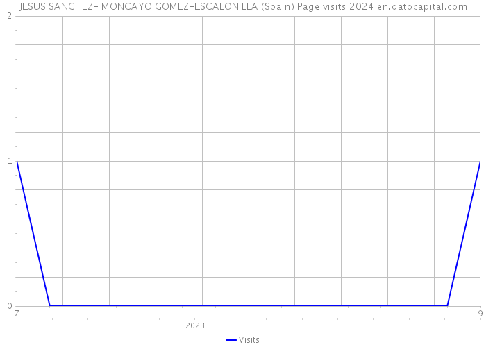 JESUS SANCHEZ- MONCAYO GOMEZ-ESCALONILLA (Spain) Page visits 2024 