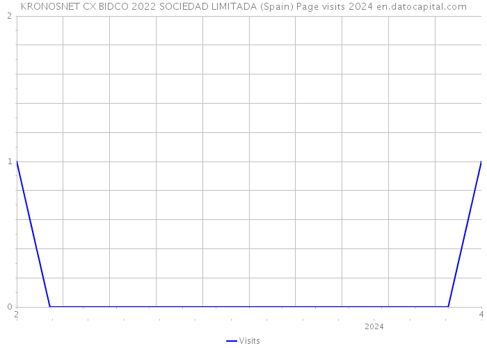 KRONOSNET CX BIDCO 2022 SOCIEDAD LIMITADA (Spain) Page visits 2024 