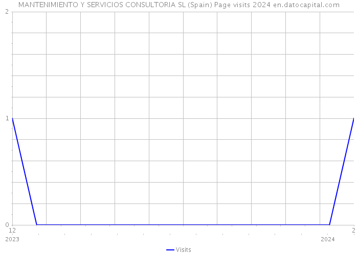 MANTENIMIENTO Y SERVICIOS CONSULTORIA SL (Spain) Page visits 2024 