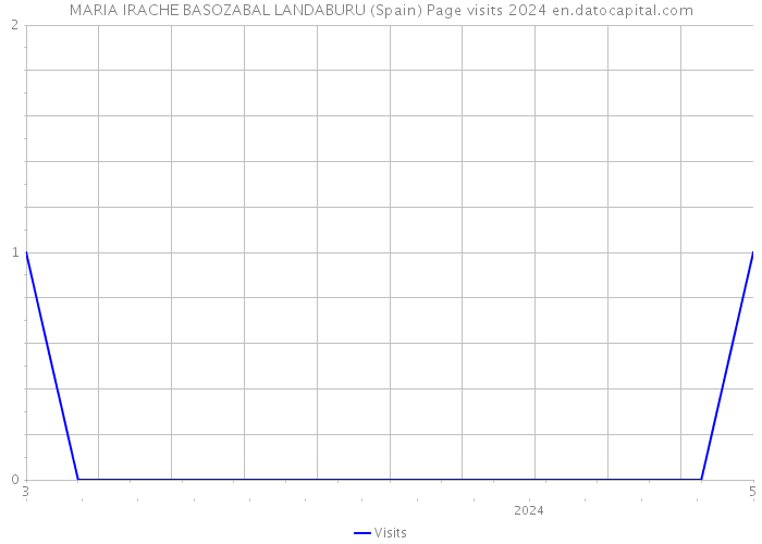MARIA IRACHE BASOZABAL LANDABURU (Spain) Page visits 2024 
