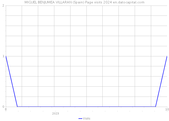 MIGUEL BENJUMEA VILLARAN (Spain) Page visits 2024 