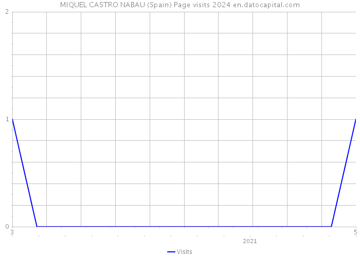 MIQUEL CASTRO NABAU (Spain) Page visits 2024 