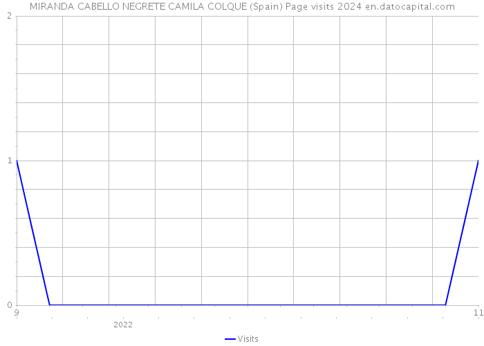 MIRANDA CABELLO NEGRETE CAMILA COLQUE (Spain) Page visits 2024 