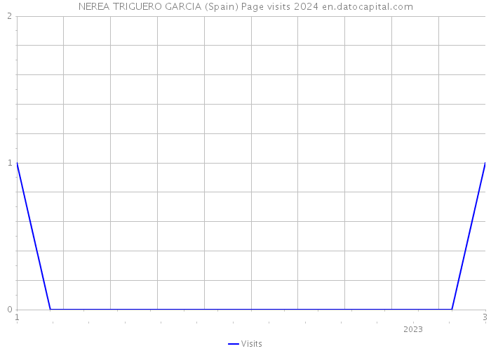 NEREA TRIGUERO GARCIA (Spain) Page visits 2024 