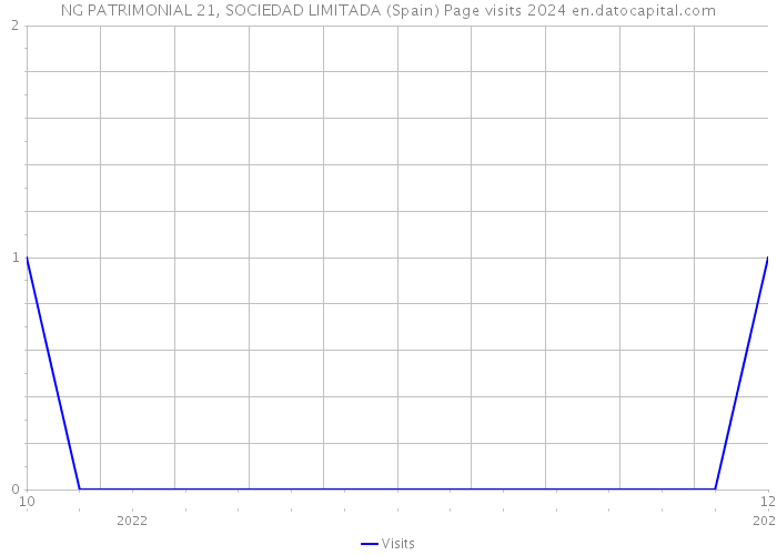 NG PATRIMONIAL 21, SOCIEDAD LIMITADA (Spain) Page visits 2024 