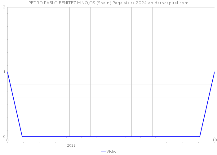 PEDRO PABLO BENITEZ HINOJOS (Spain) Page visits 2024 