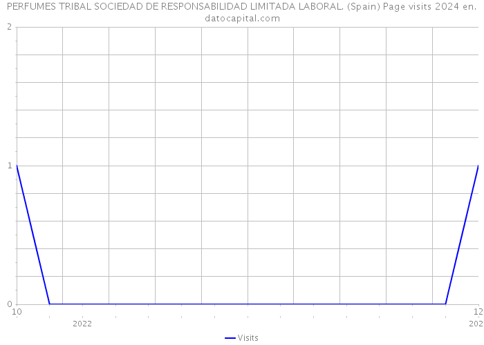 PERFUMES TRIBAL SOCIEDAD DE RESPONSABILIDAD LIMITADA LABORAL. (Spain) Page visits 2024 