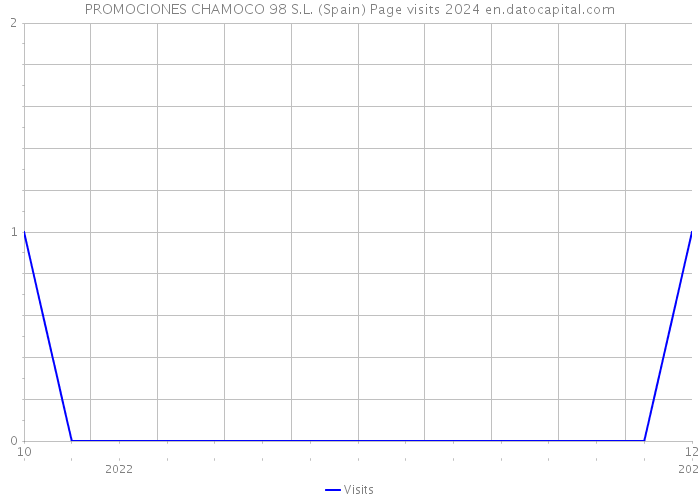 PROMOCIONES CHAMOCO 98 S.L. (Spain) Page visits 2024 