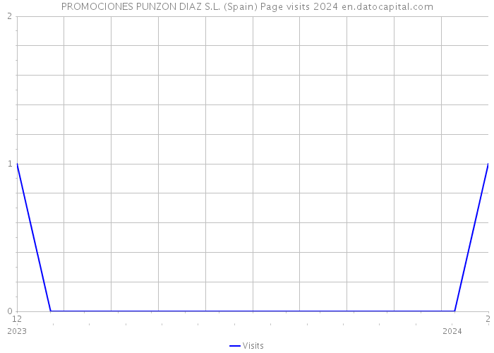 PROMOCIONES PUNZON DIAZ S.L. (Spain) Page visits 2024 