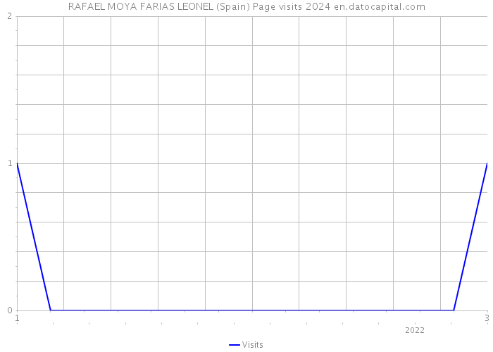 RAFAEL MOYA FARIAS LEONEL (Spain) Page visits 2024 