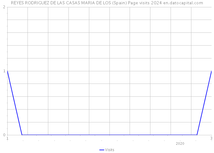 REYES RODRIGUEZ DE LAS CASAS MARIA DE LOS (Spain) Page visits 2024 