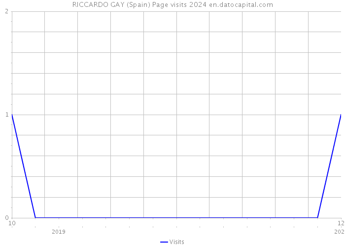 RICCARDO GAY (Spain) Page visits 2024 