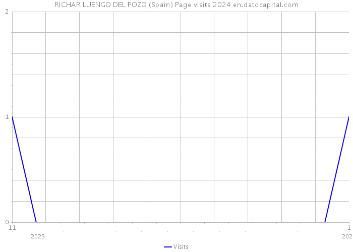 RICHAR LUENGO DEL POZO (Spain) Page visits 2024 