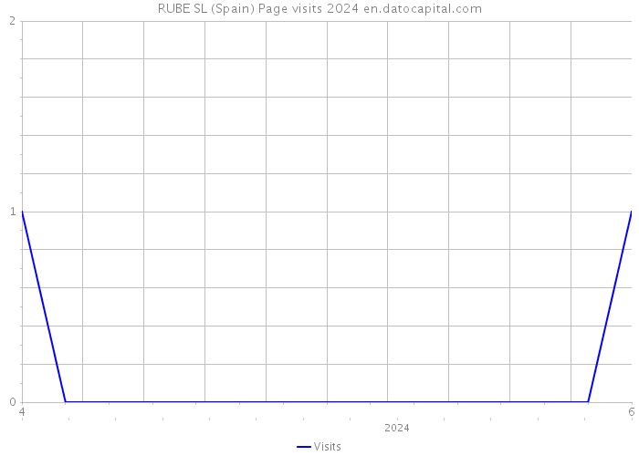 RUBE SL (Spain) Page visits 2024 