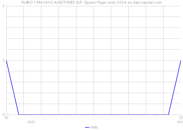 RUBIO Y MAYAYO AUDITORES SLP. (Spain) Page visits 2024 