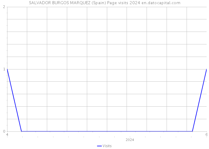 SALVADOR BURGOS MARQUEZ (Spain) Page visits 2024 