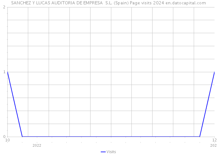 SANCHEZ Y LUCAS AUDITORIA DE EMPRESA S.L. (Spain) Page visits 2024 