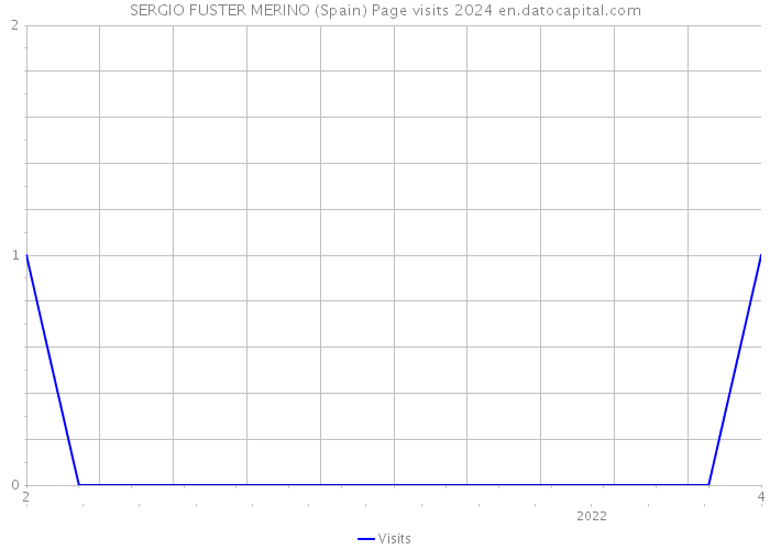 SERGIO FUSTER MERINO (Spain) Page visits 2024 