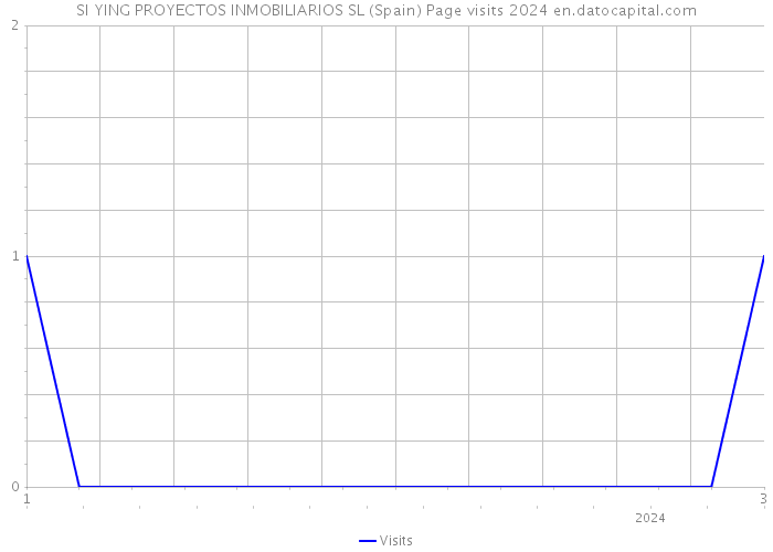 SI YING PROYECTOS INMOBILIARIOS SL (Spain) Page visits 2024 