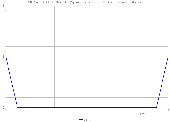 SILVIA SOTO RODRIGUEZ (Spain) Page visits 2024 
