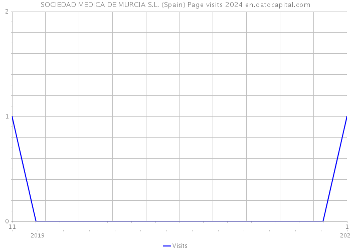 SOCIEDAD MEDICA DE MURCIA S.L. (Spain) Page visits 2024 
