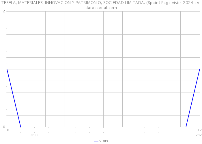 TESELA, MATERIALES, INNOVACION Y PATRIMONIO, SOCIEDAD LIMITADA. (Spain) Page visits 2024 