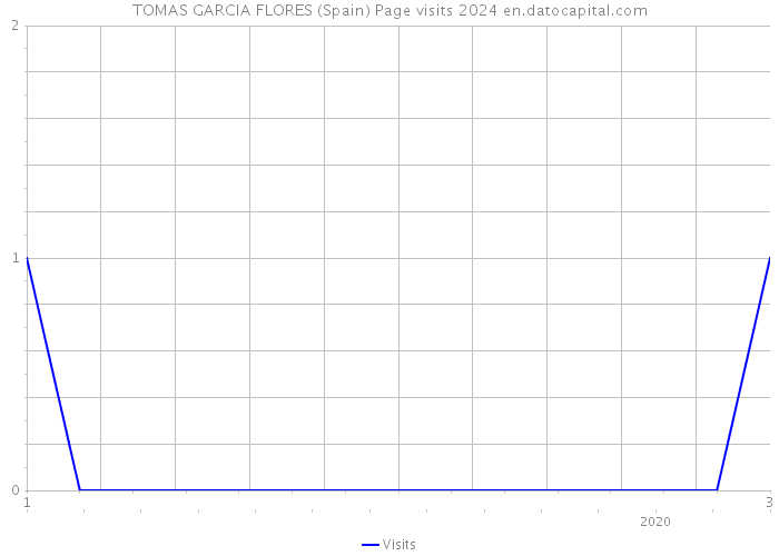 TOMAS GARCIA FLORES (Spain) Page visits 2024 