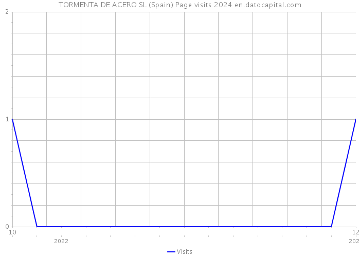 TORMENTA DE ACERO SL (Spain) Page visits 2024 