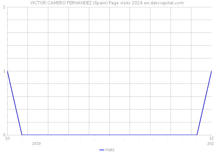 VICTOR CAMERO FERNANDEZ (Spain) Page visits 2024 