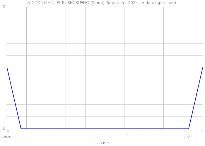 VICTOR MANUEL RUBIO BUENO (Spain) Page visits 2024 