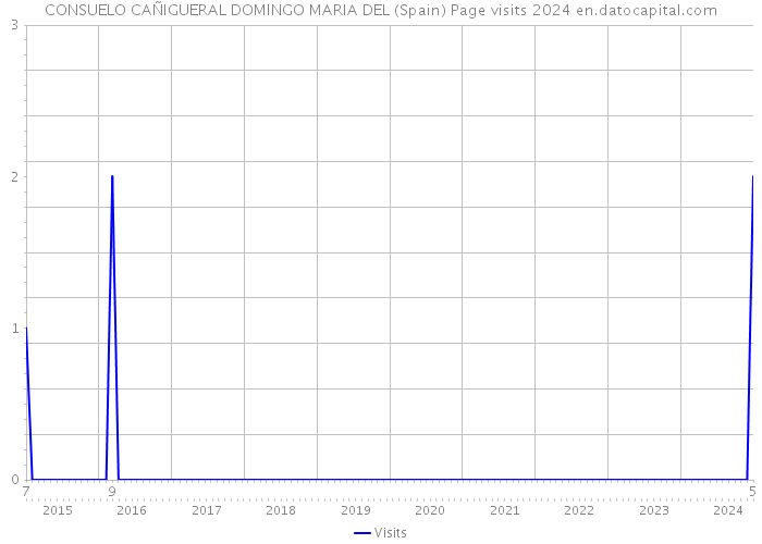 CONSUELO CAÑIGUERAL DOMINGO MARIA DEL (Spain) Page visits 2024 