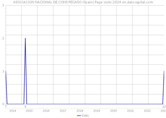 ASOCIACION NACIONAL DE CONS PEGASO (Spain) Page visits 2024 