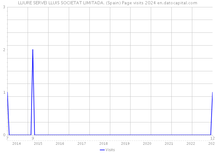 LLIURE SERVEI LLUIS SOCIETAT LIMITADA. (Spain) Page visits 2024 