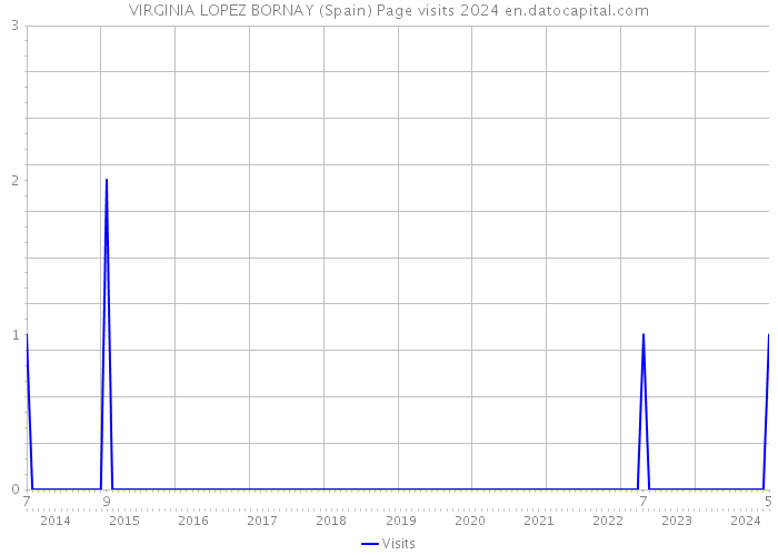 VIRGINIA LOPEZ BORNAY (Spain) Page visits 2024 