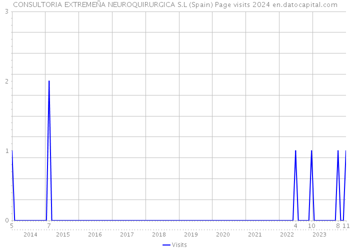 CONSULTORIA EXTREMEÑA NEUROQUIRURGICA S.L (Spain) Page visits 2024 