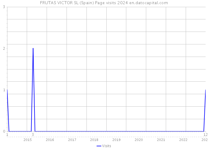 FRUTAS VICTOR SL (Spain) Page visits 2024 