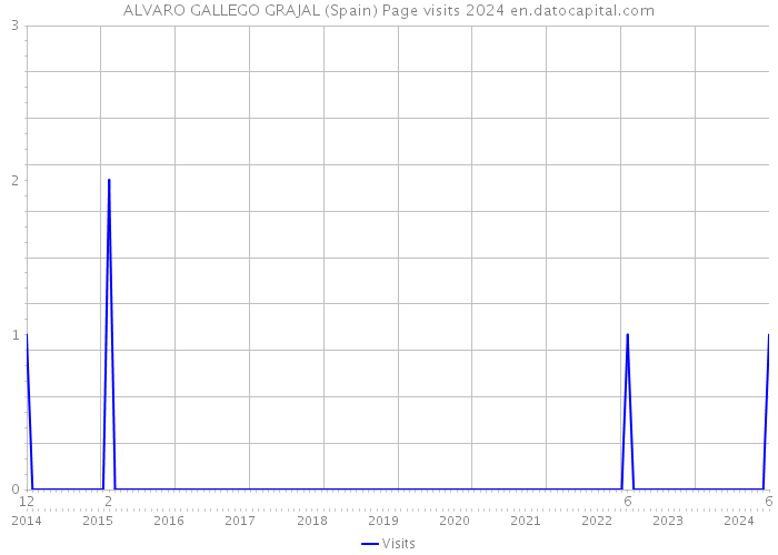 ALVARO GALLEGO GRAJAL (Spain) Page visits 2024 